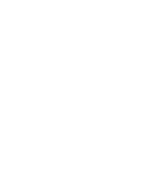 beach board