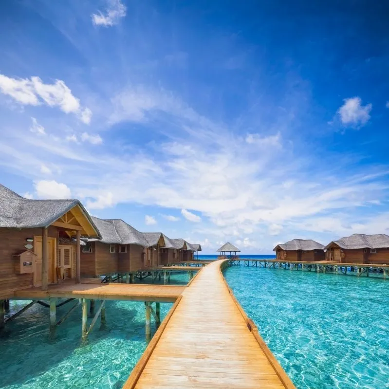 serene maldives about image